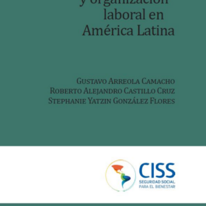Precarización y organización laboral en América Latina