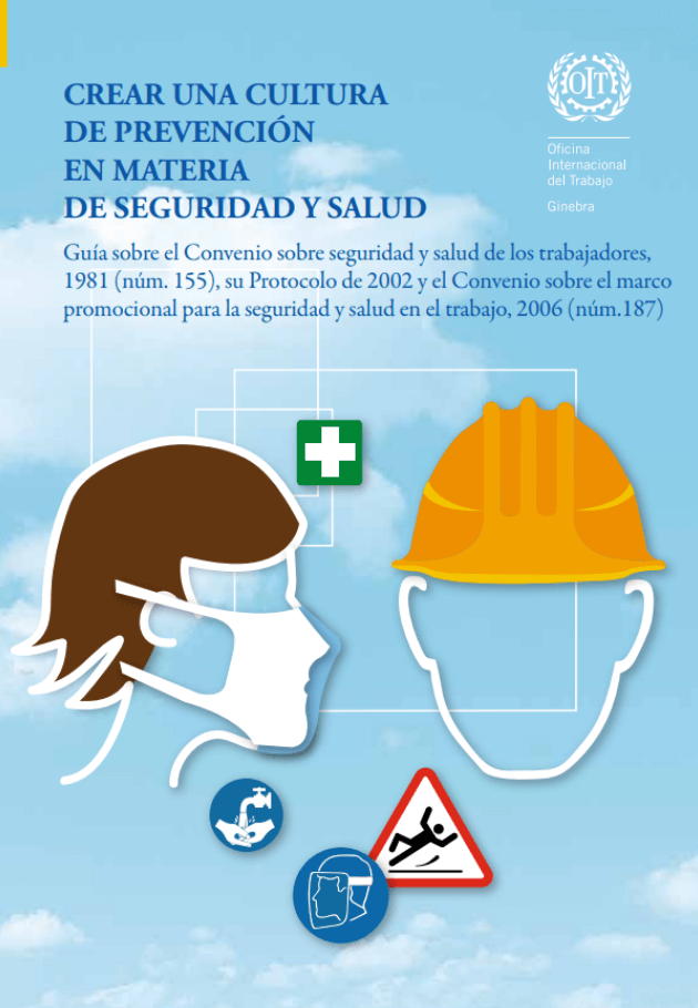 Libro 11