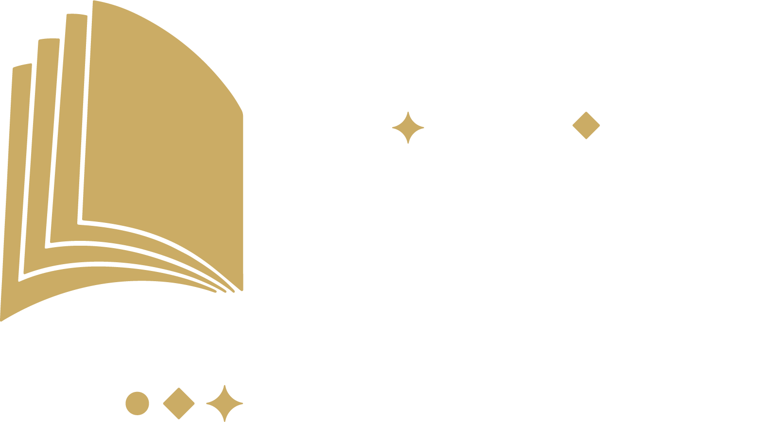 Logo BIDISS